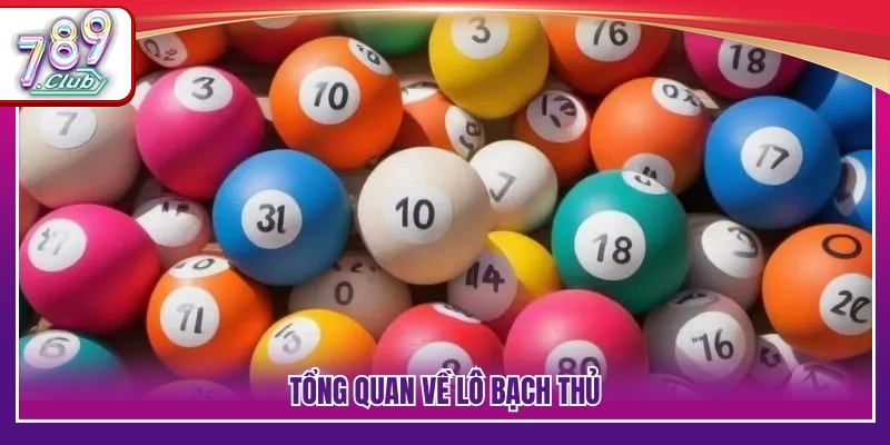 Cách Dò Lô Bạch Thủ - Bật Mí Mẹo Do Chuẩn Xác Cho Người Mới 2 Khái quát hình thức đánh lô bạch thủ